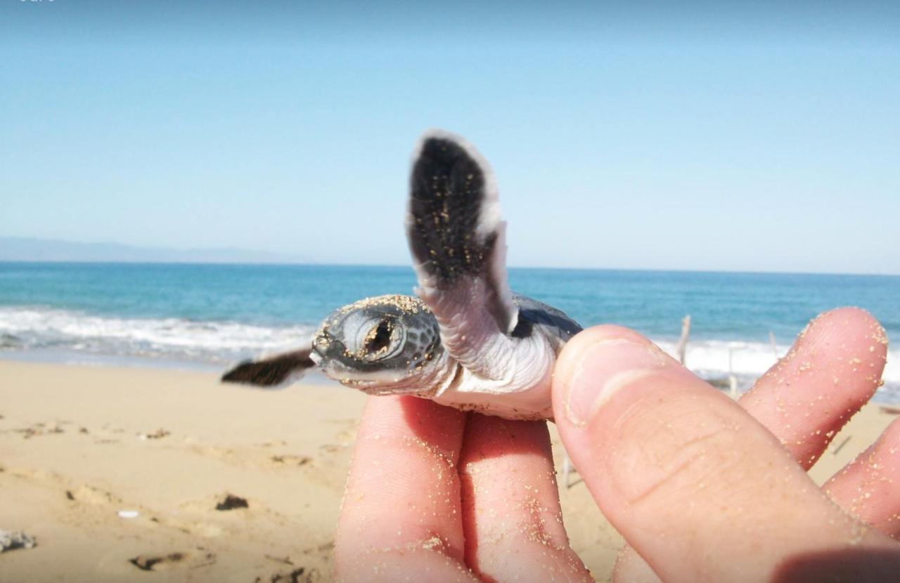 Rekawa Turtle Gate Hotel Тангале Екстериор снимка