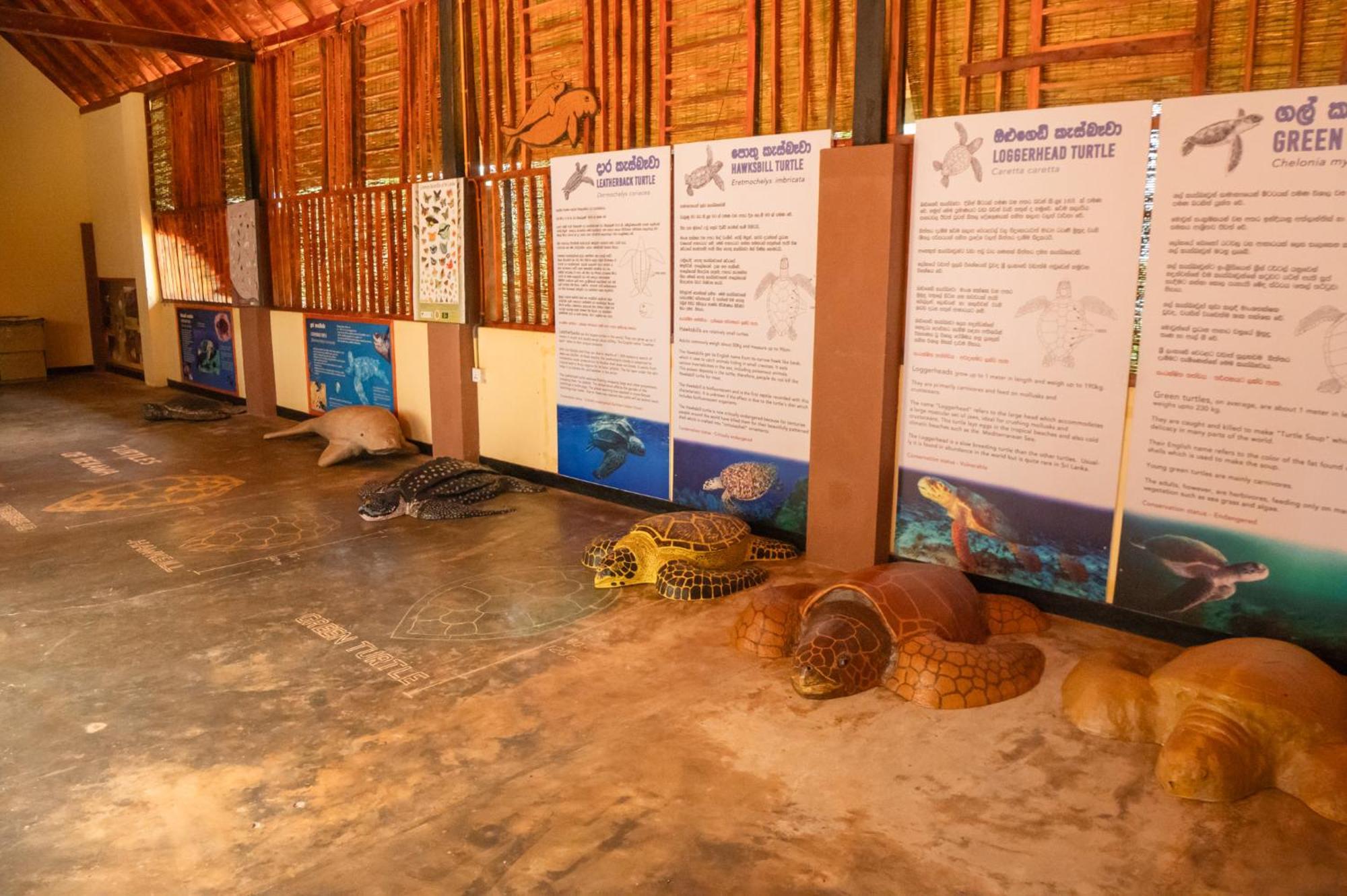 Rekawa Turtle Gate Hotel Тангале Екстериор снимка